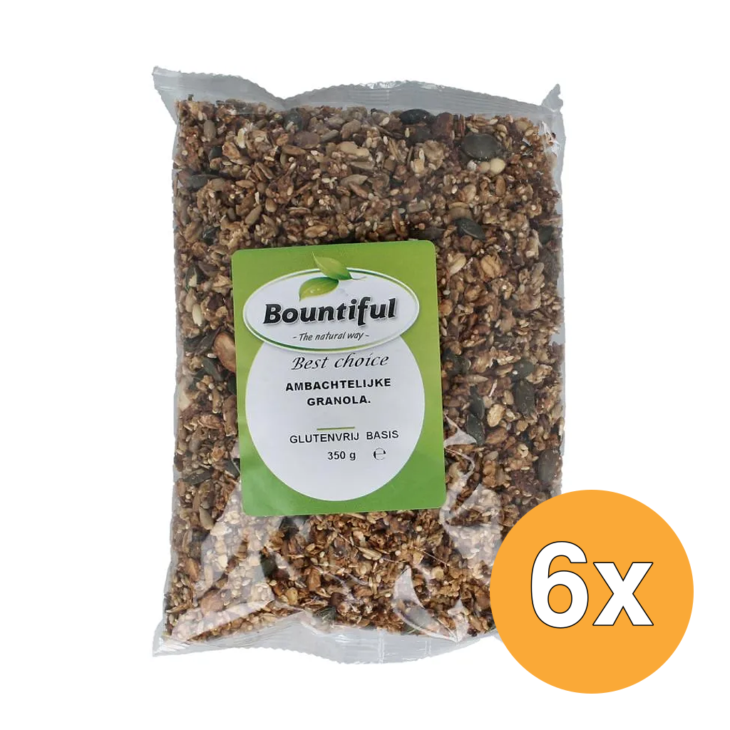 6x Bountiful Ambachtelijke Granola Glutenvrij Bio (350 gr)