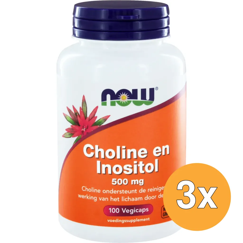 3x Now Choline en inositol 500 mg (100 vega capsules)