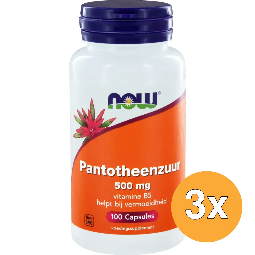 3x Now Pantotheenzuur 500 mg (100 vega capsules)