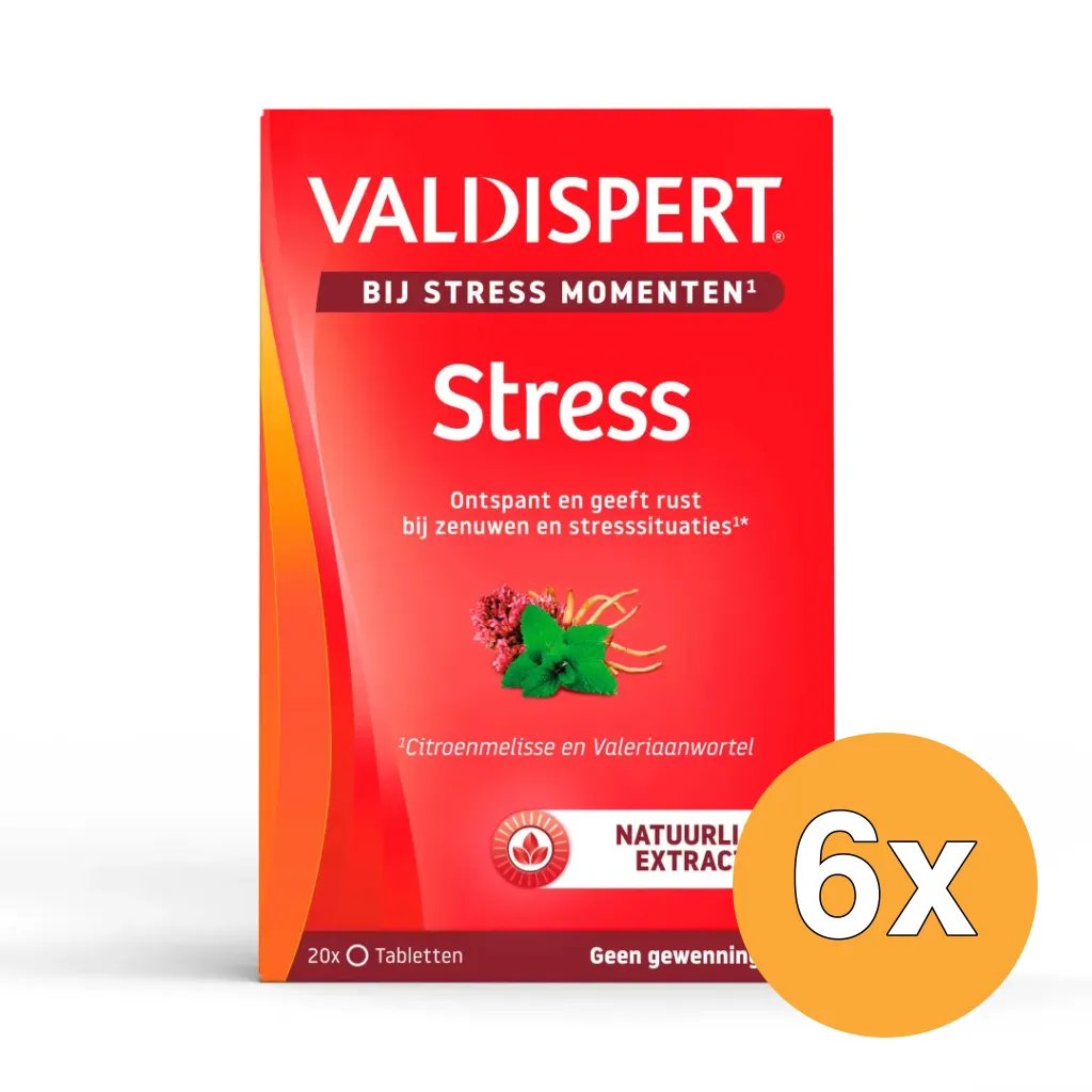 6x Valdispert Stress moments (20 tabletten)