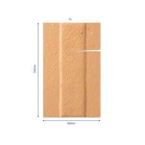 Hansaplast Universal 1m x 6 cm (1 stuk)