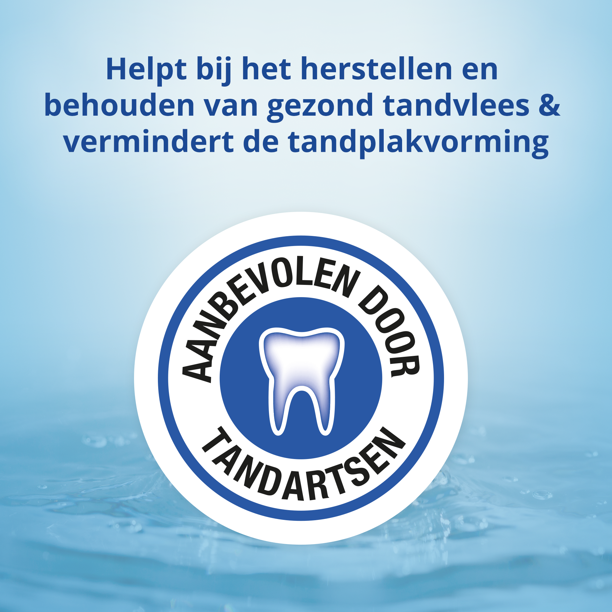 CB12 Gezond Tandvlees Mondwater (250 ml) - image 4