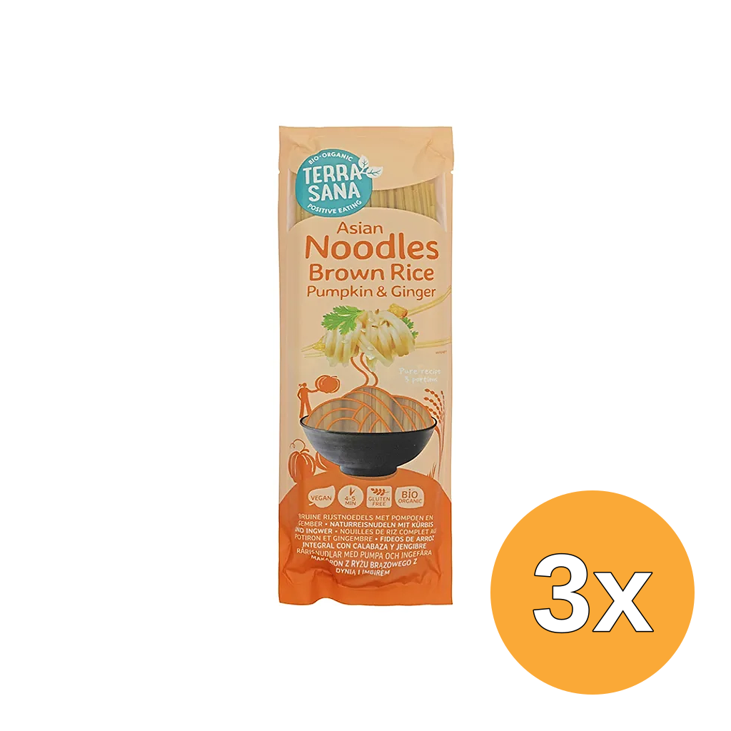 3x Terrasana Bruine Rijstnoedels Pompoen en Gember Bio (250 gr)