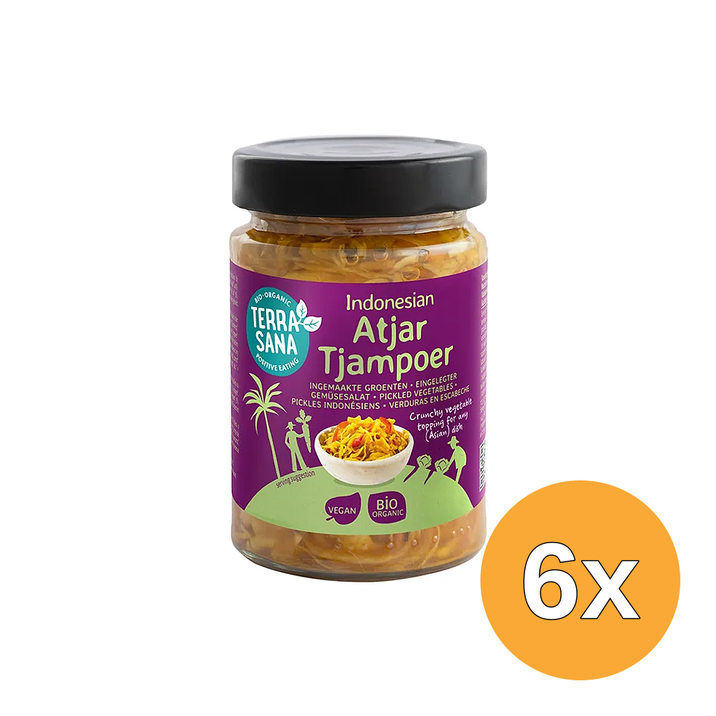 6x TerraSana Indonesische Atjar Tjampoer (300 gr)