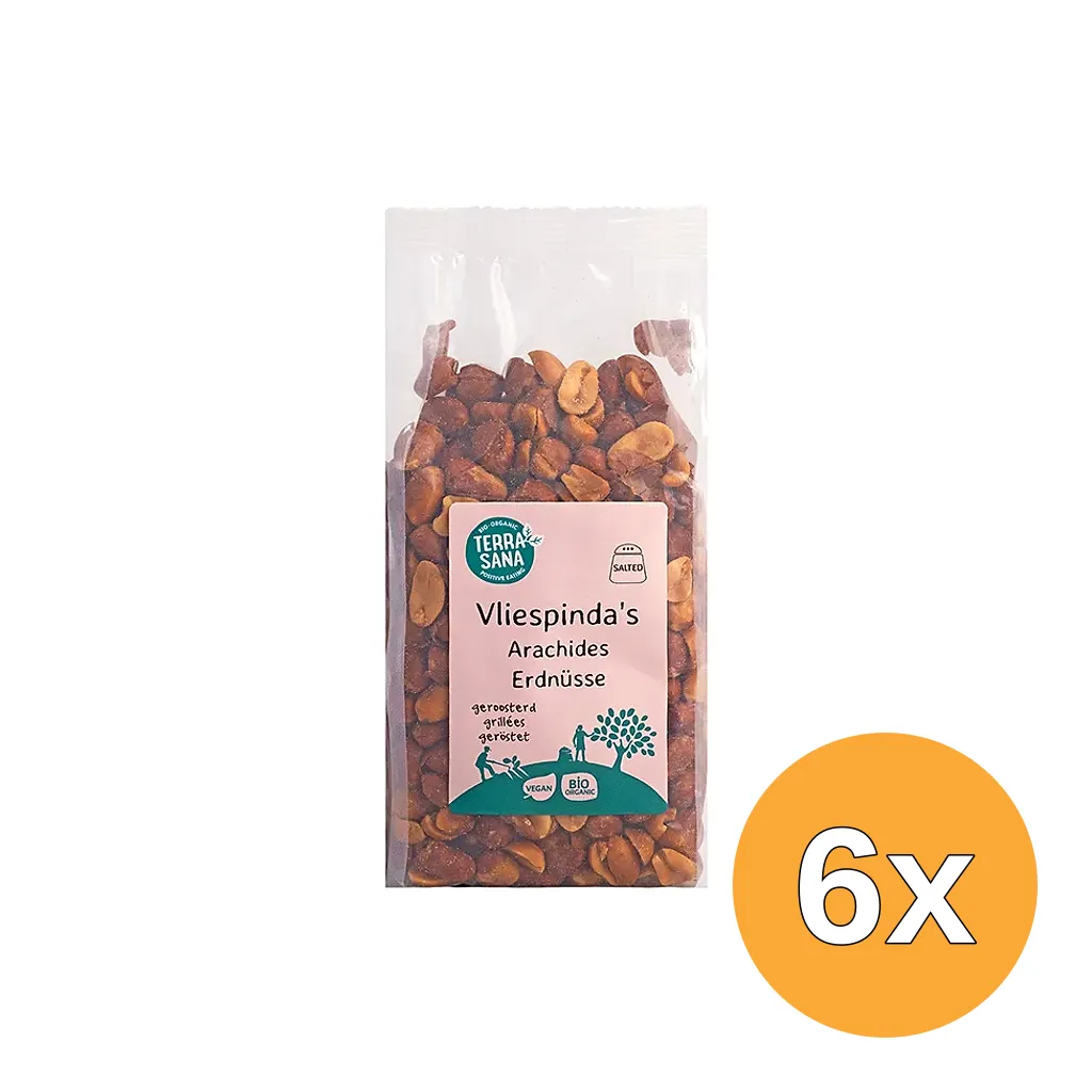 6x TerraSana Pinda vlies met zout geroosterd bio (250 gr)