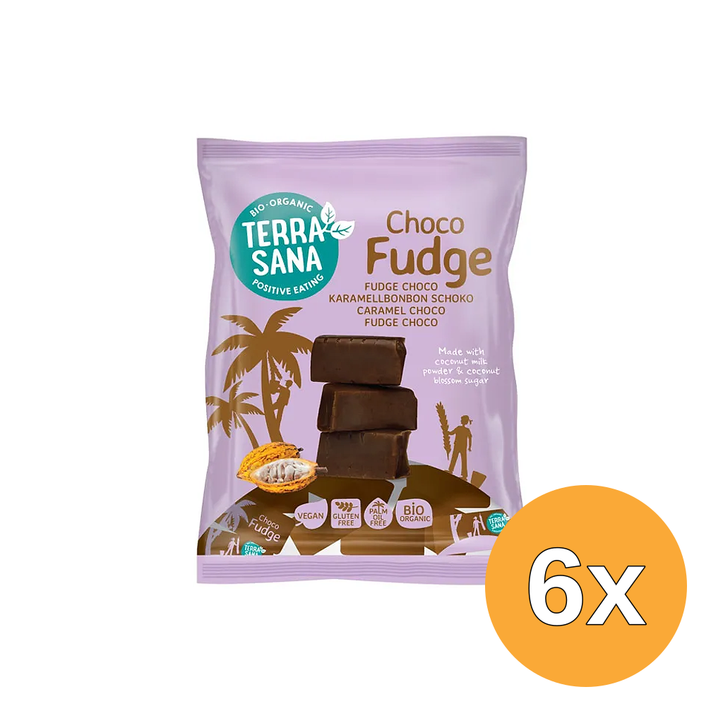 6x Terrasana Fudge Chocolade Bio (150 gr)