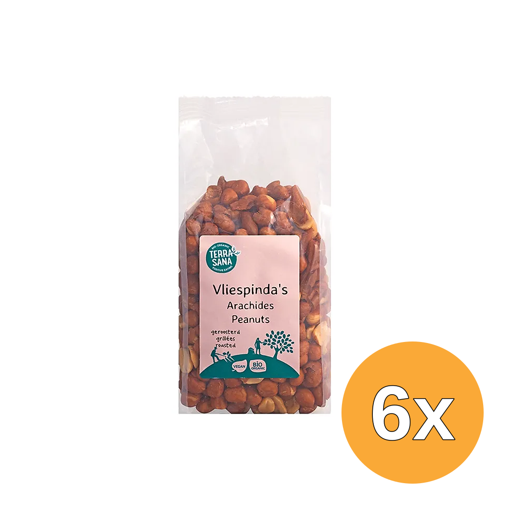 6x Terrasana Pinda Vlies Zonder Zout Geroosterd Bio (250 gr)