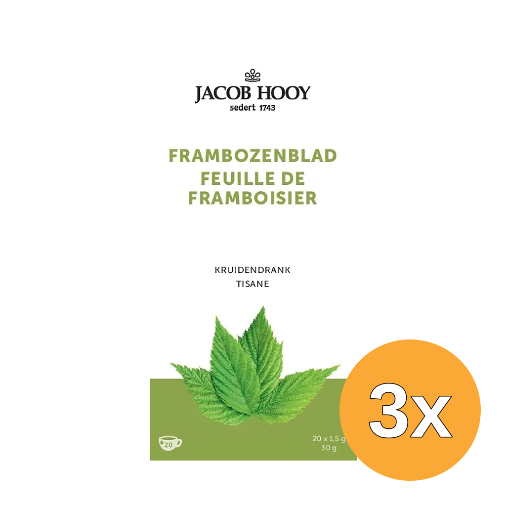 3x Jacob Hooy Frambozenblad (20 zakjes)
