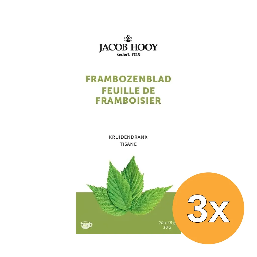 3x Jacob Hooy Frambozenblad (20 zakjes)