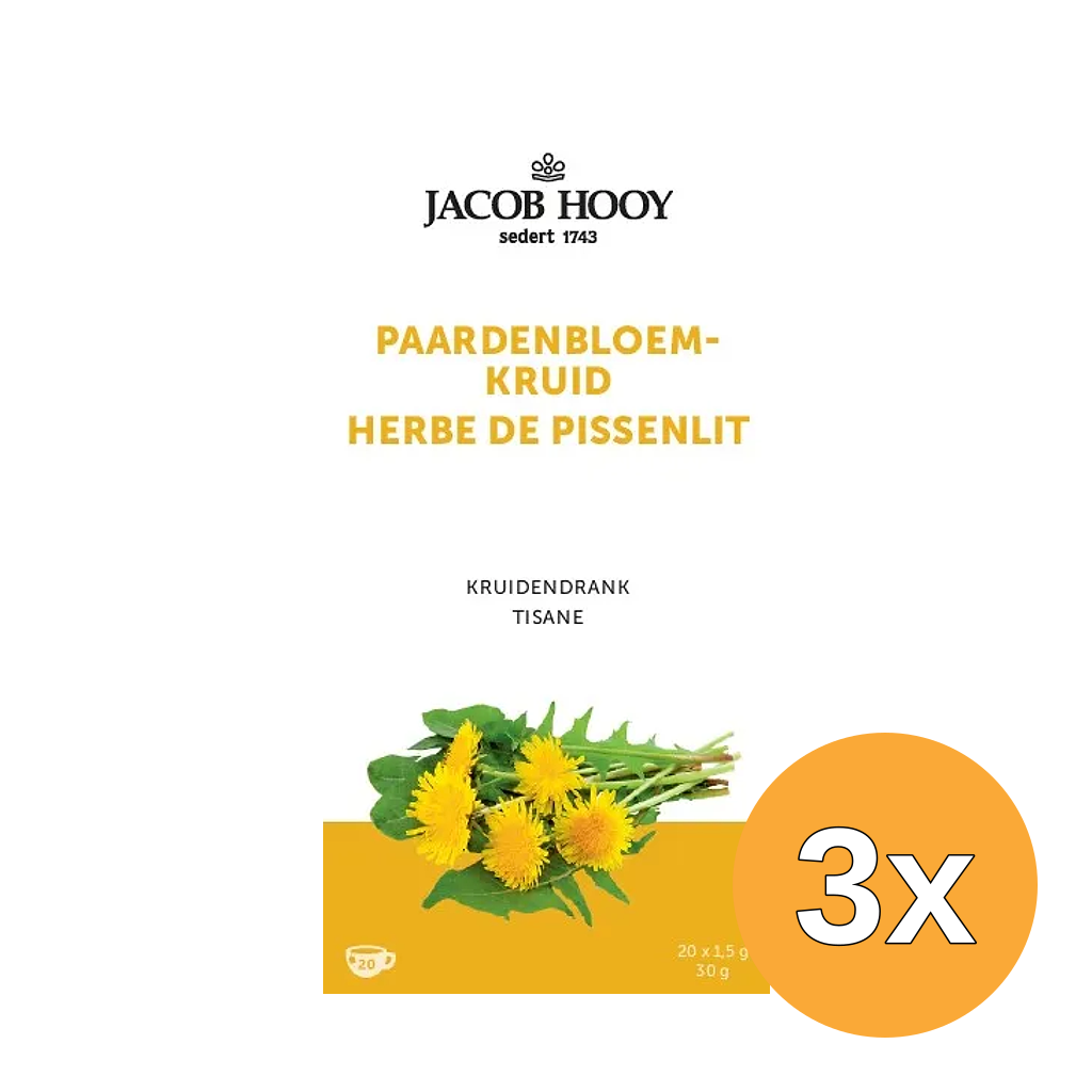 3x Jacob Hooy Paardenbloem (20 zakjes)