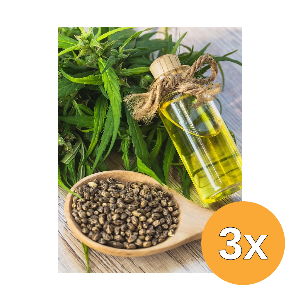 3x Jacob Hooy Yerba Maté (20 zakjes)