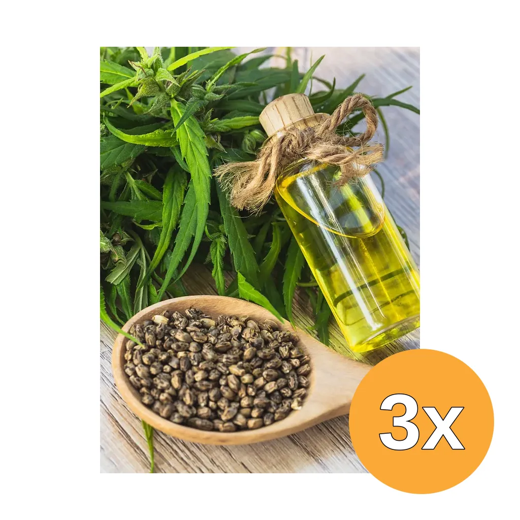 3x Jacob Hooy Yerba Maté (20 zakjes)