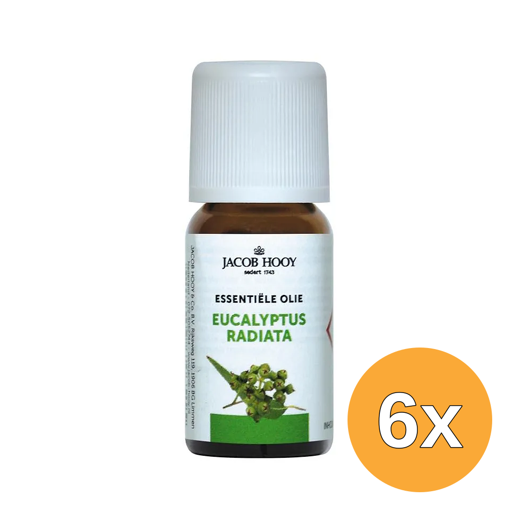 6x Jacob Hooy Eucalyptus radiata olie (10 ml)