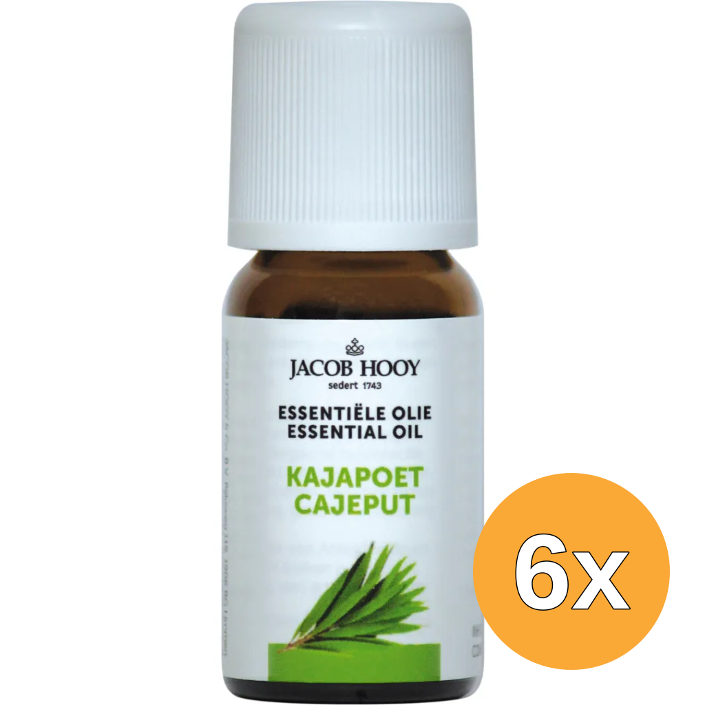 6x Jacob Hooy Kajapoet olie (10 ml)