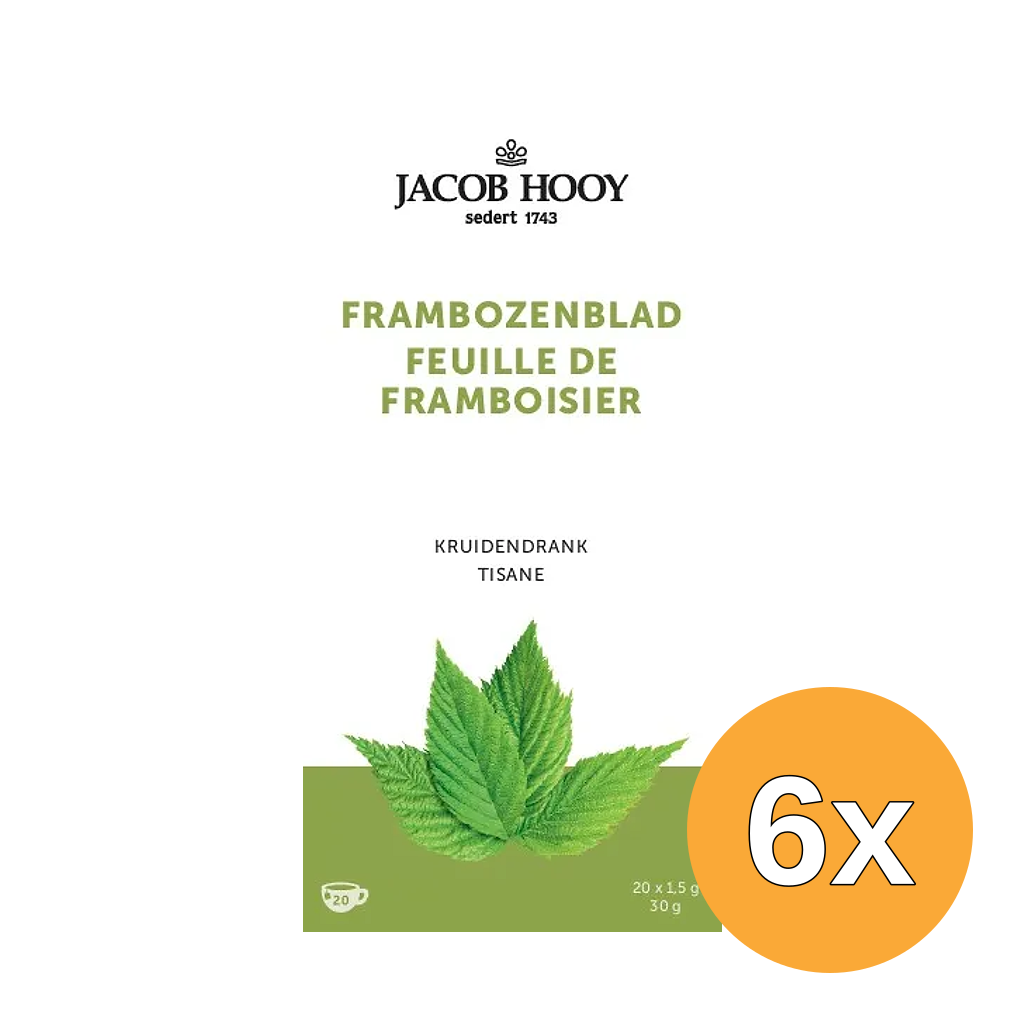 6x Jacob Hooy Frambozenblad (20 zakjes)