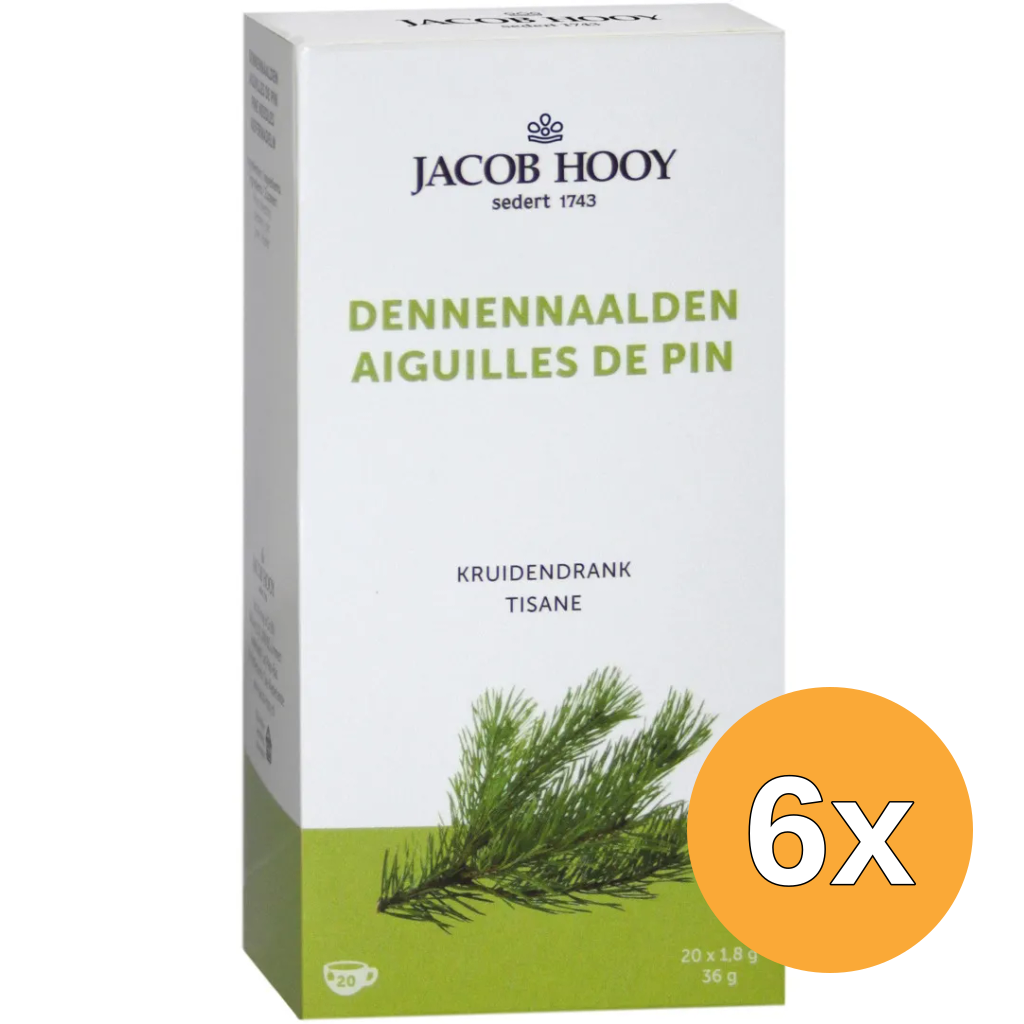 6x Jacob Hooy Dennennaalden (20 zakjes)