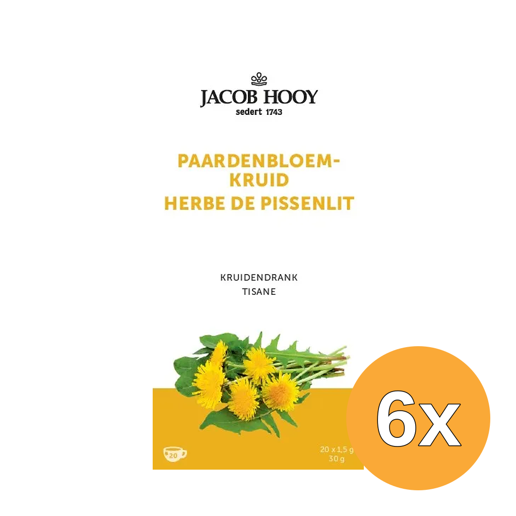 6x Jacob Hooy Paardenbloem (20 zakjes)