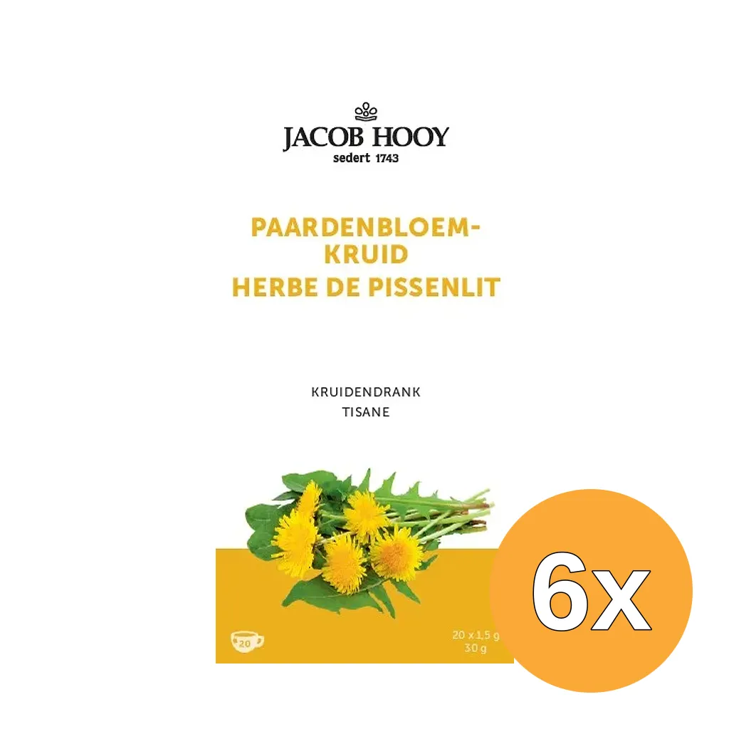 6x Jacob Hooy Paardenbloem (20 zakjes)