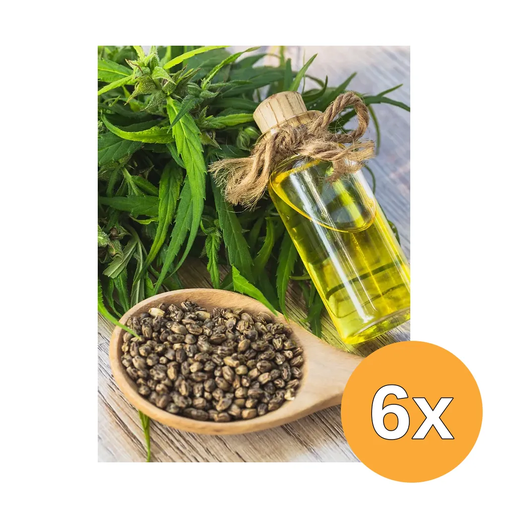 6x Jacob Hooy Yerba Maté (20 zakjes)