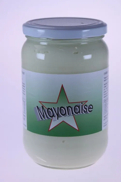 Bio Keuken Mayonaise (620 gr)
