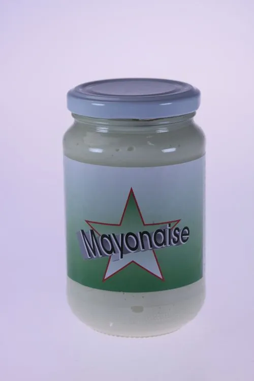 Bio Keuken Mayonaise (320 gr)