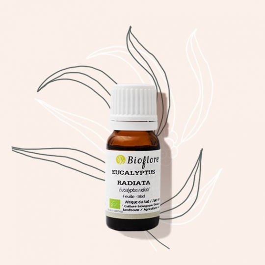 Bioflore Eucalyptus Etherische Olie Bio (10 ml)