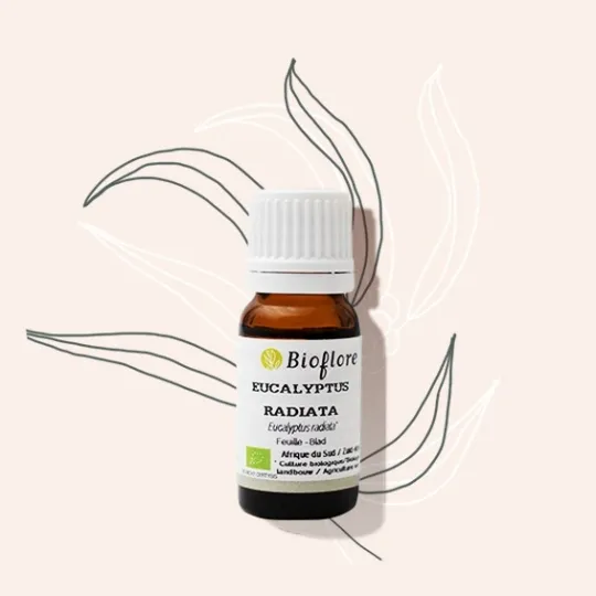Bioflore Eucalyptus Etherische Olie Bio (10 ml)