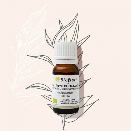 Bioflore Eucalyptus Globulus Etherische Olie Bio (10 ml)