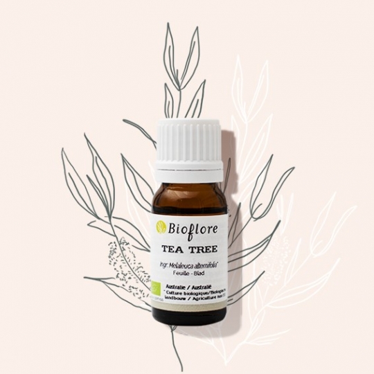 Bioflore Tea Tree Etherische Olie Bio (10 ml)