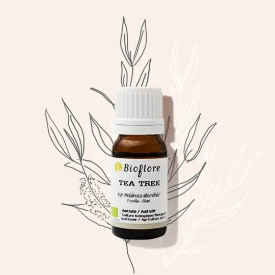 Bioflore Tea Tree Etherische Olie Bio (10 ml)