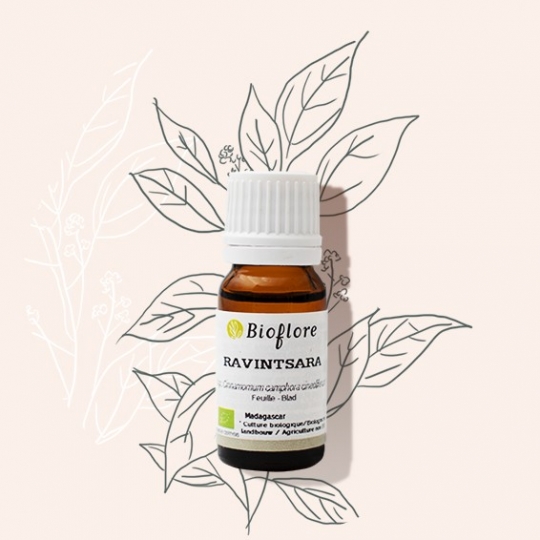 Bioflore Ravintsara Etherische Olie Bio (10 ml)