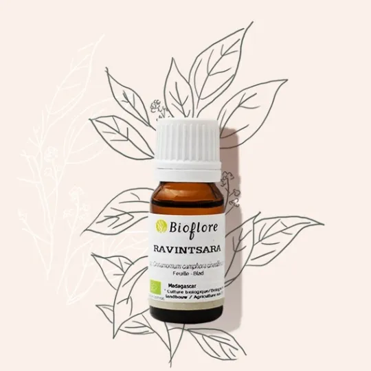 Bioflore Ravintsara Etherische Olie Bio (10 ml)