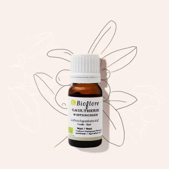 Bioflore Wintergreen Etherische Olie Bio (10 ml)
