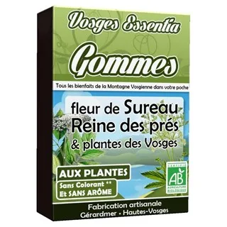 Bonbons Des Vosges Pastilles Des Vosges Vlierbes en Moerasspirea Bio (45 gr)