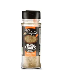 Masalchi 5 Kruidenmix Bio (40 gr)
