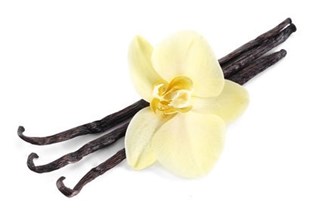Masalchi Vanillestokjes Madagascar 2/3 Peulen Bio (7 gr)