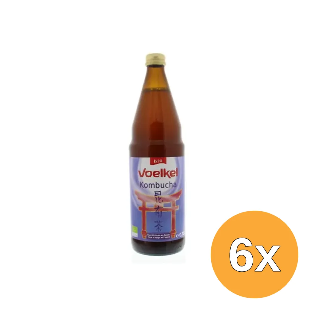 6x Voelkel Kombucha Bio (750 ml)