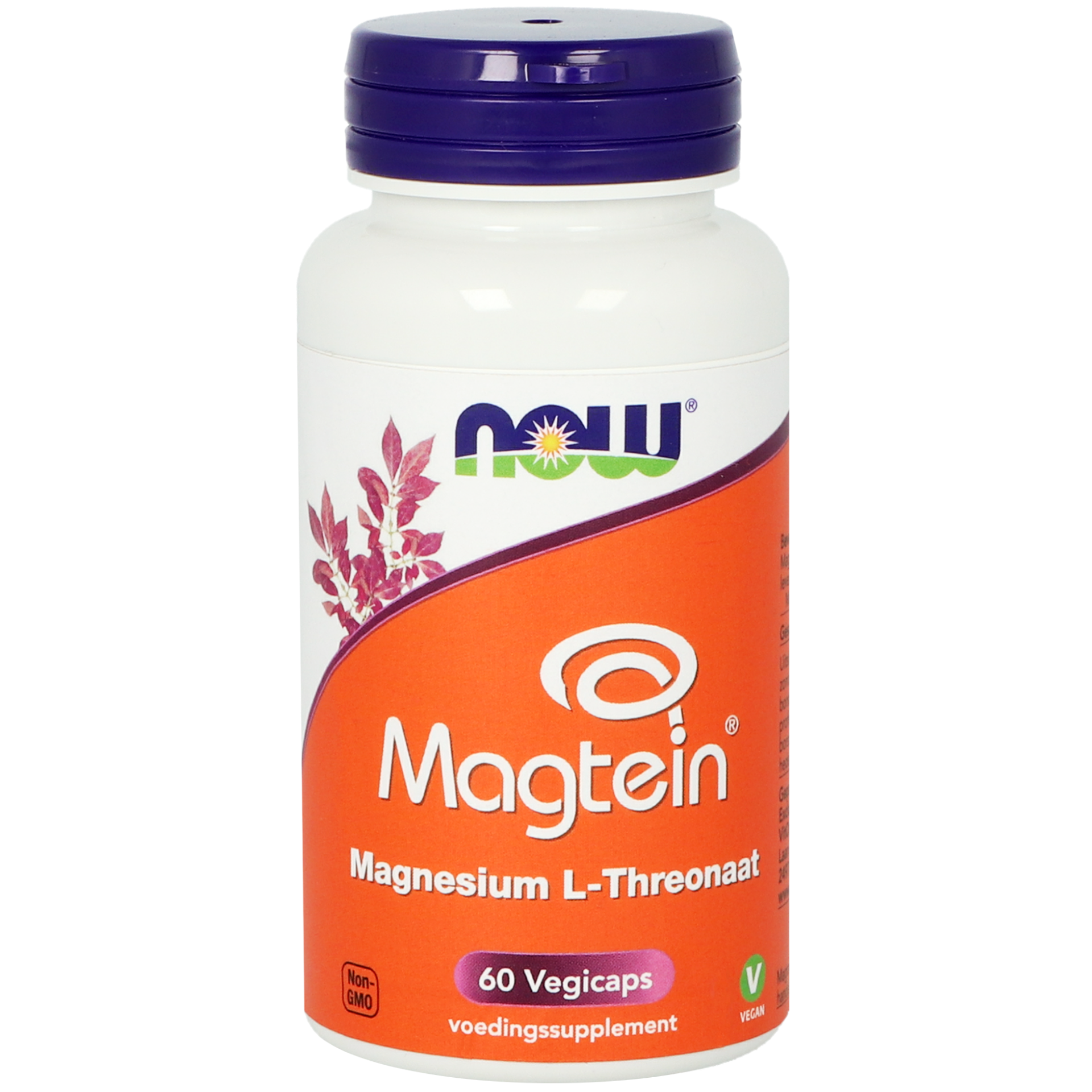 Vitortho Magtein Magnesium L-threonaat (60 vega capsules)