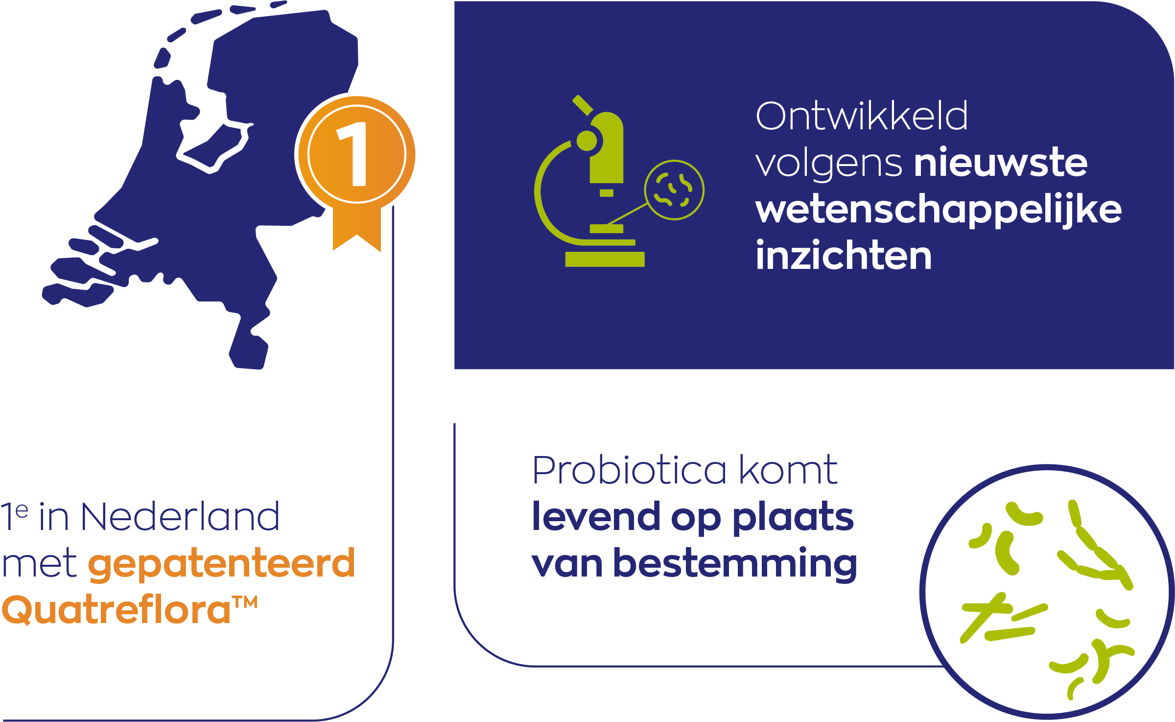 Vitakruid Symflora® Femme Probiotica voor Vrouwen (90 vega capsules) - image 3