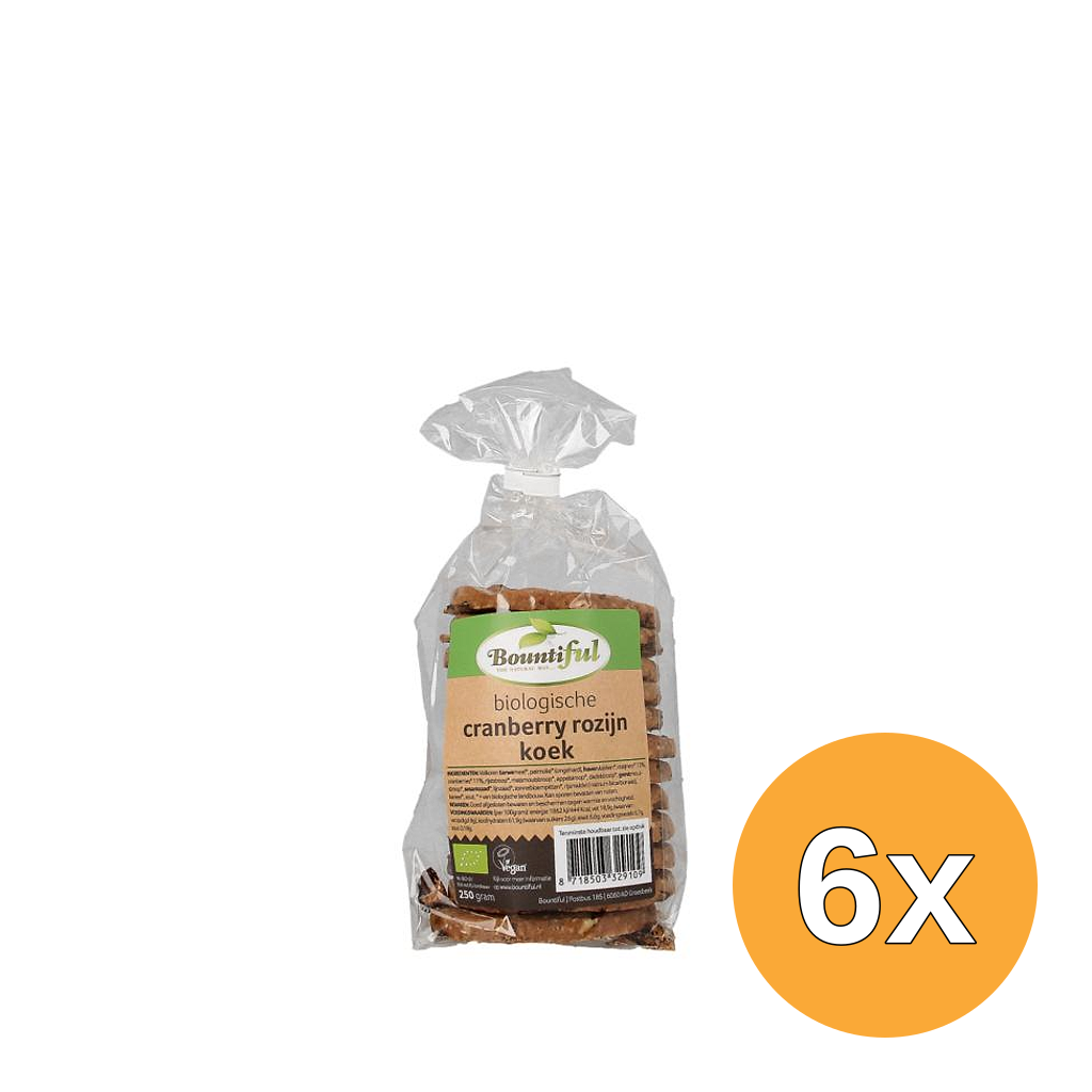 6x Bountiful Cranberry rozijnkoek bio (250 gr)