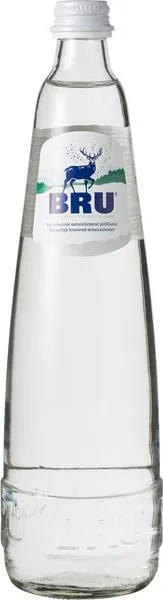 Bru Mineraalwater met Koolzuur (750 ml)
