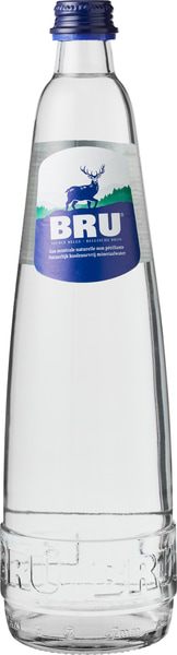 Bru Mineraalwater zonder Koolzuur (750 ml)