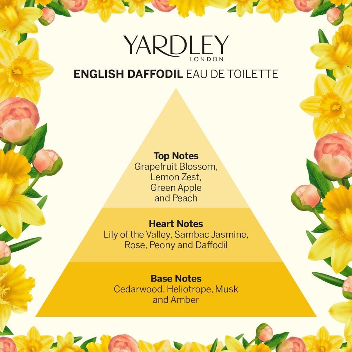 Yardley London English Daffodil Eau De Toilette (125 ml) - image 4