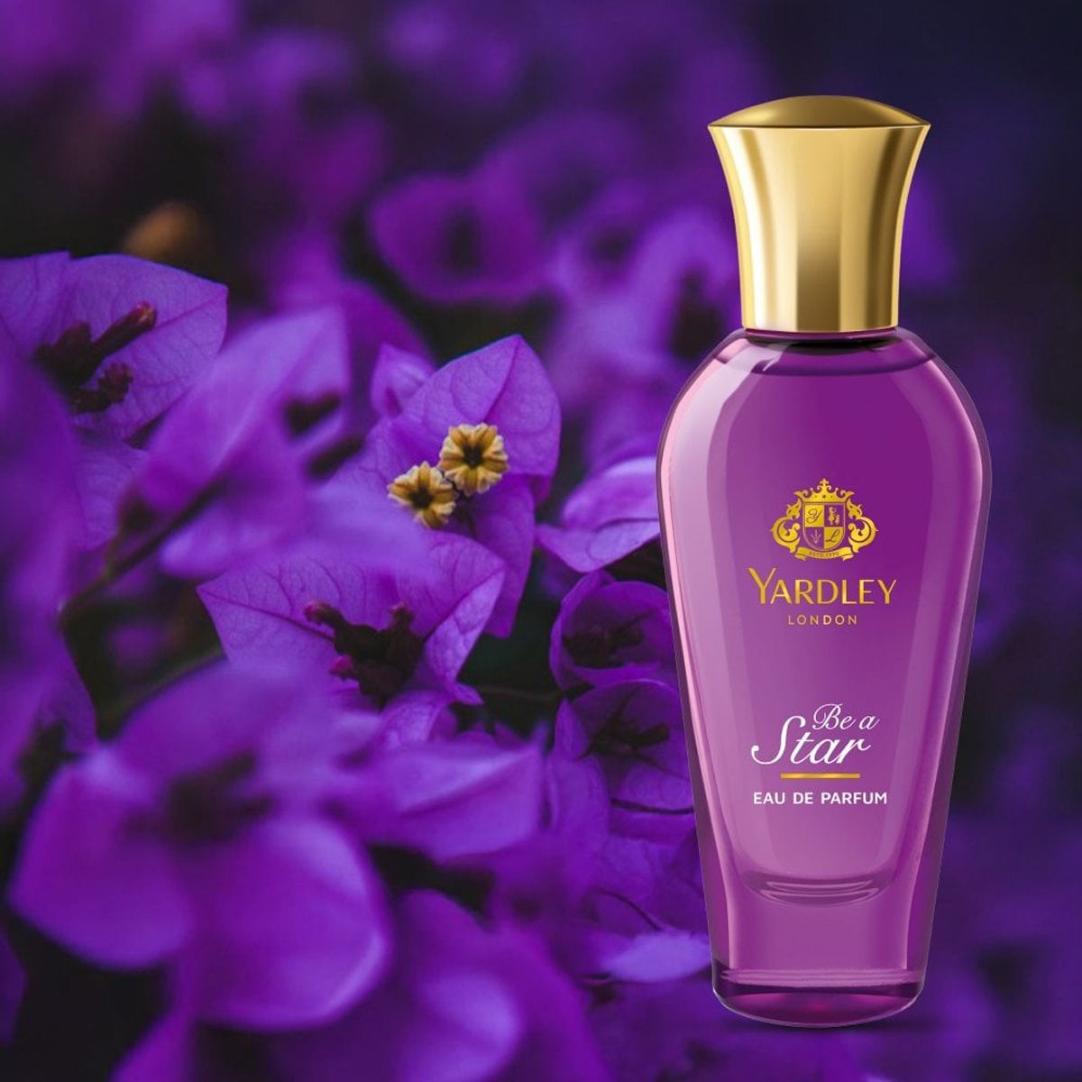Yardley London Be A Star Eau De Parfum (30 ml) - image 3