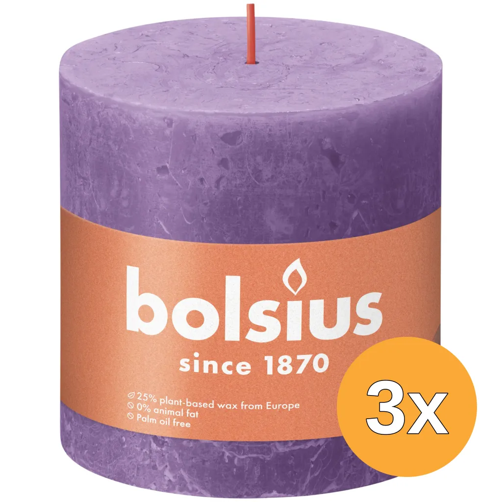 3x Bolsius Rustiek Stompkaars 100/100 Vibrant Violet (1 stuk)