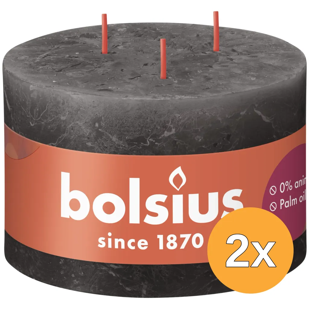 2x Bolsius Rustiekkaars 3 Lont 90/140 Stormygrey (1 stuk)