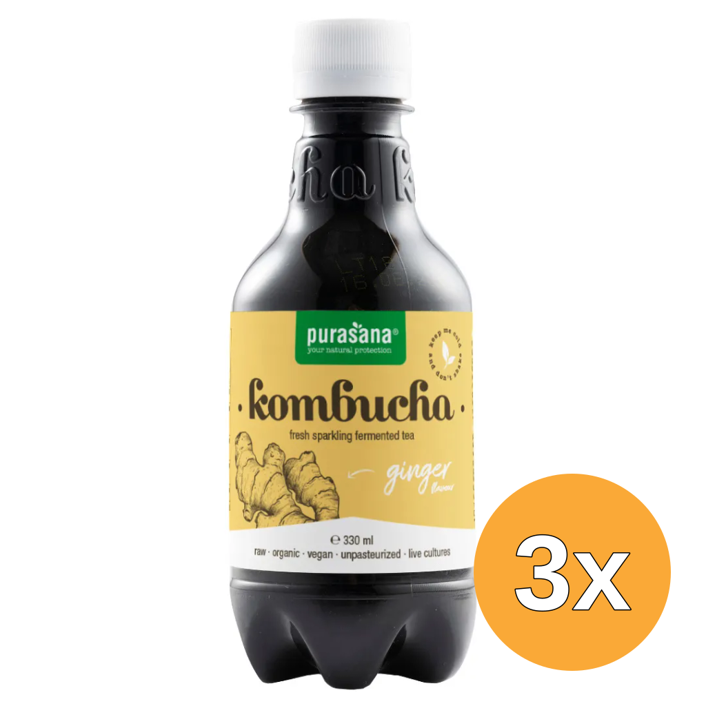 3x Purasana Kombucha Gember/Gingembre Vegan (330 ml)